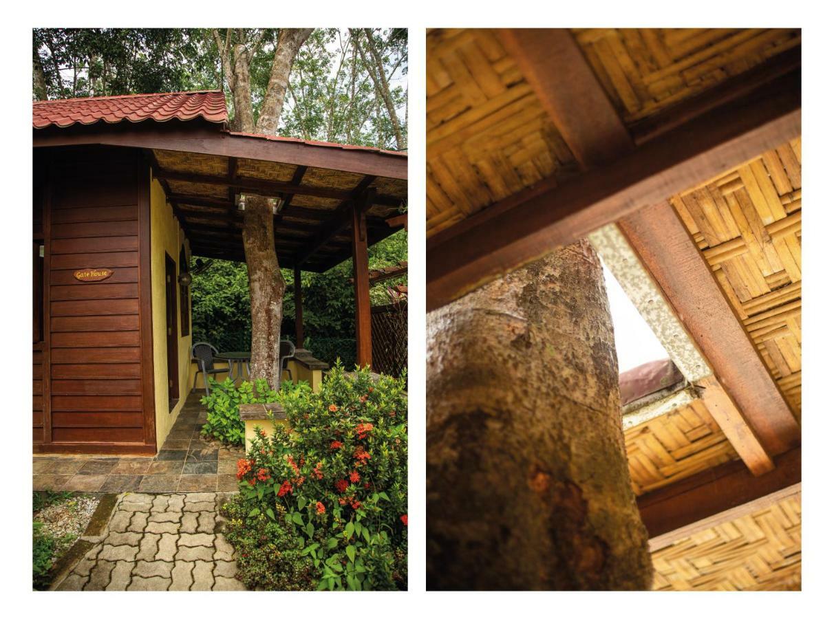 Sunset Valley Holiday Houses Padang Mat Sirat Extérieur photo