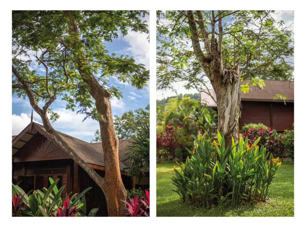 Sunset Valley Holiday Houses Padang Mat Sirat Extérieur photo