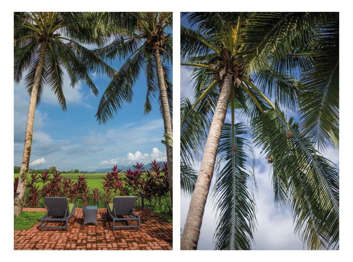 Sunset Valley Holiday Houses Padang Mat Sirat Extérieur photo